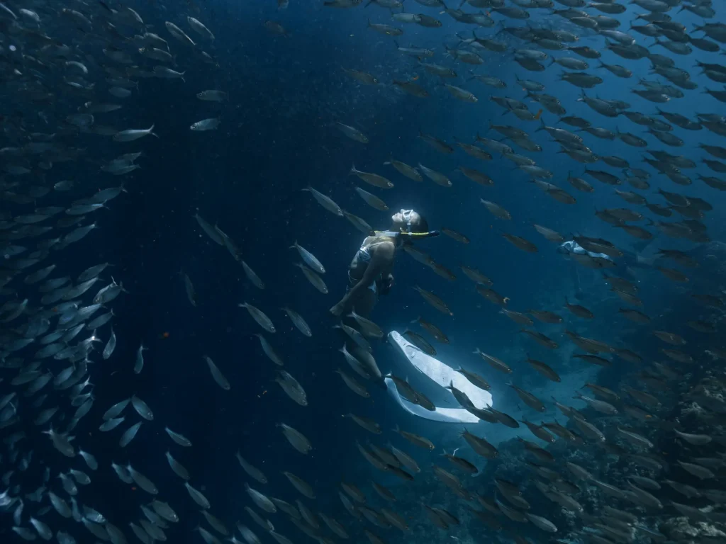 Snorkeler swimming through large schools of fish in deep blue water, representing the sardine run experience near Panagsama Beach in Moalboal, Cebu.