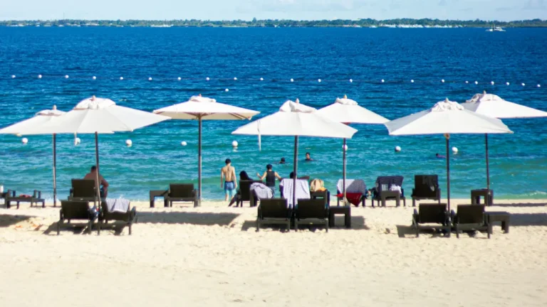 Best Time to Visit Cebu: Weather, Seasons & Travel Guide